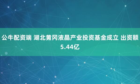 公牛配资端 湖北黄冈液晶产业投资基金成立 出资额5.44亿