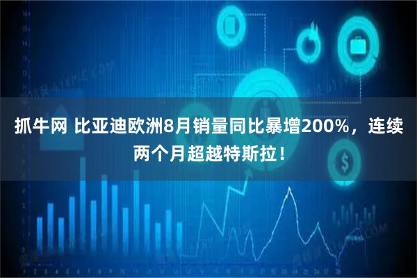 抓牛网 比亚迪欧洲8月销量同比暴增200%，连续两个月超越特斯拉！