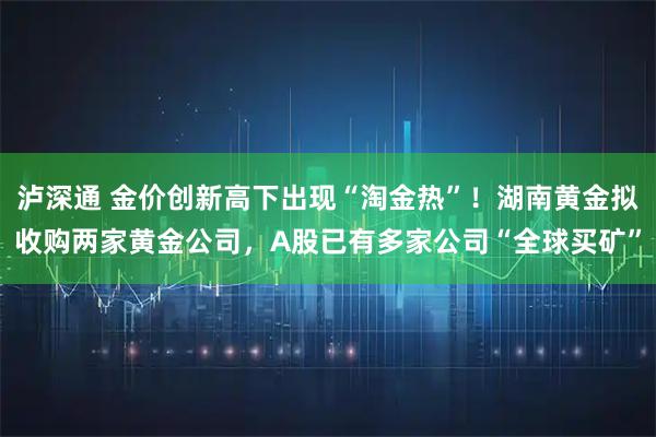 泸深通 金价创新高下出现“淘金热”！湖南黄金拟收购两家黄金公司，A股已有多家公司“全球买矿”