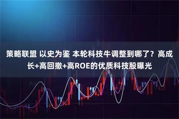 策略联盟 以史为鉴 本轮科技牛调整到哪了?高成长+高回撤+高ROE的优质科技股曝光