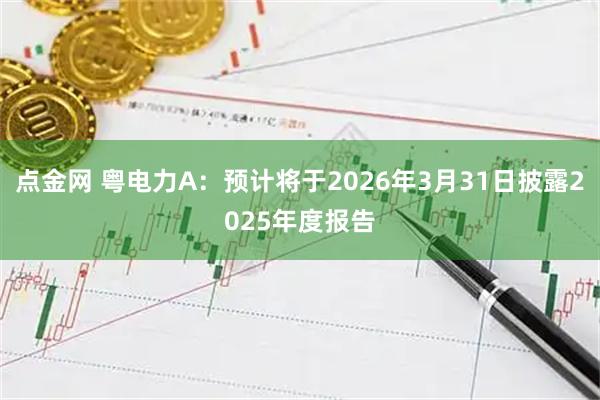 点金网 粤电力A：预计将于2026年3月31日披露2025年度报告